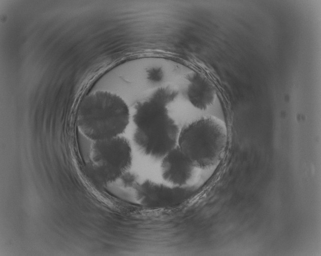X0000076410049200610061004