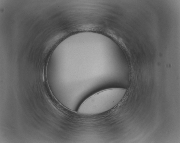 X0000076410062200610061004