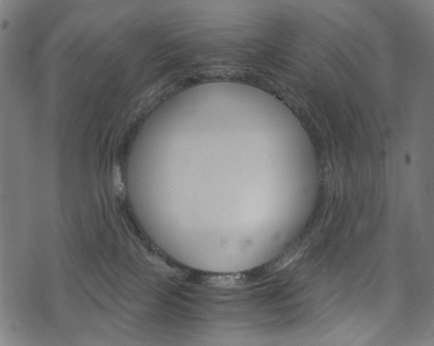 X0000076410089200610061004