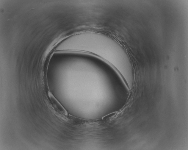 X0000076410150200610061002