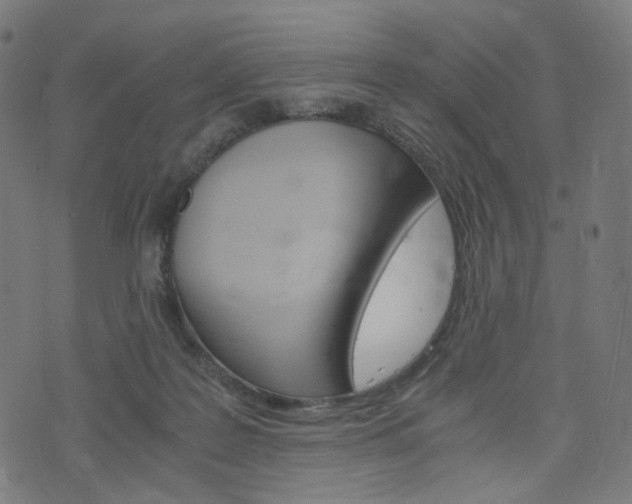 X0000076410219200610061002