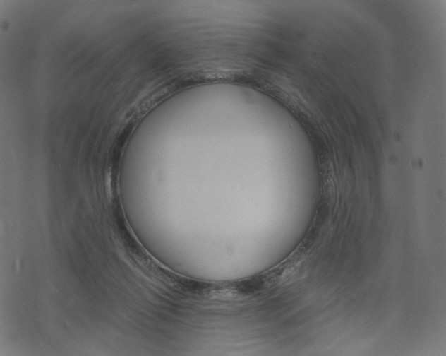 X0000076410262200610061001
