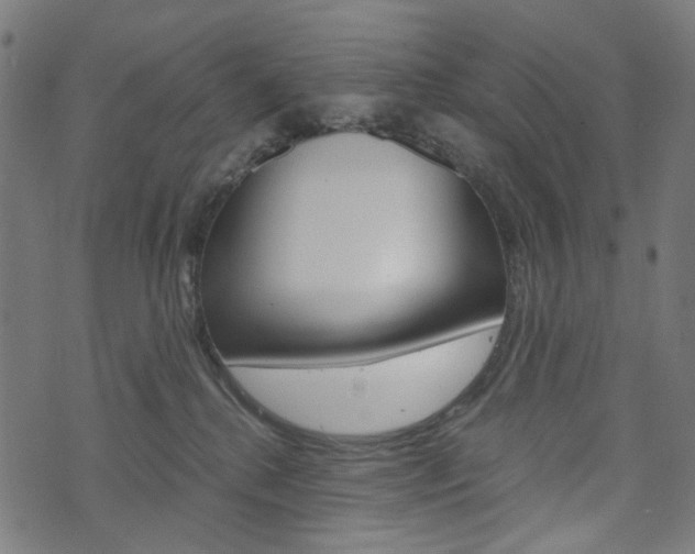 X0000076410280200610061001