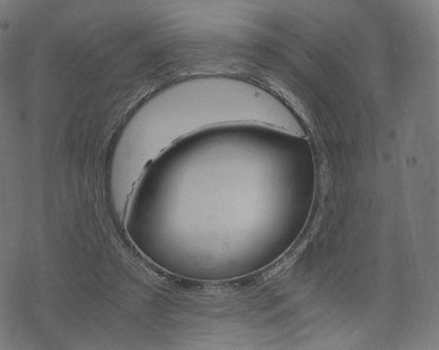 X0000076410305200610061000