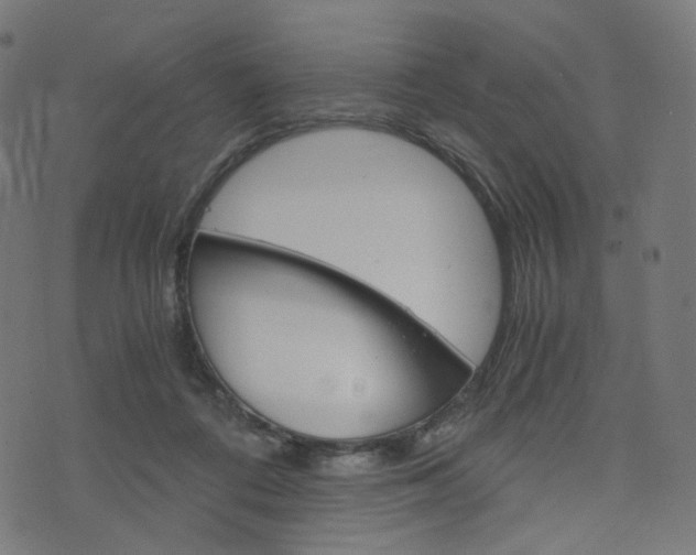 X0000076410312200610061000