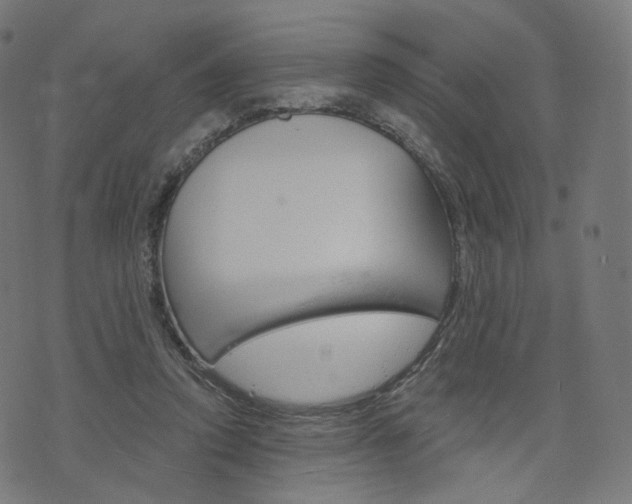 X0000076410354200610060959