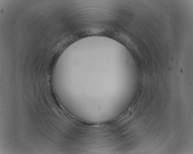 X0000076410366200610060959