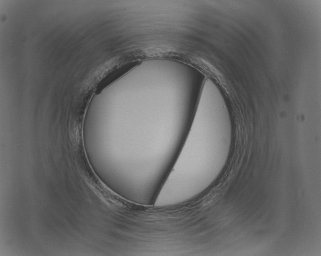X0000076410405200610060958