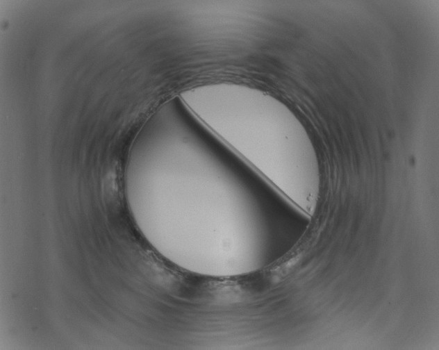 X0000076410424200610060958