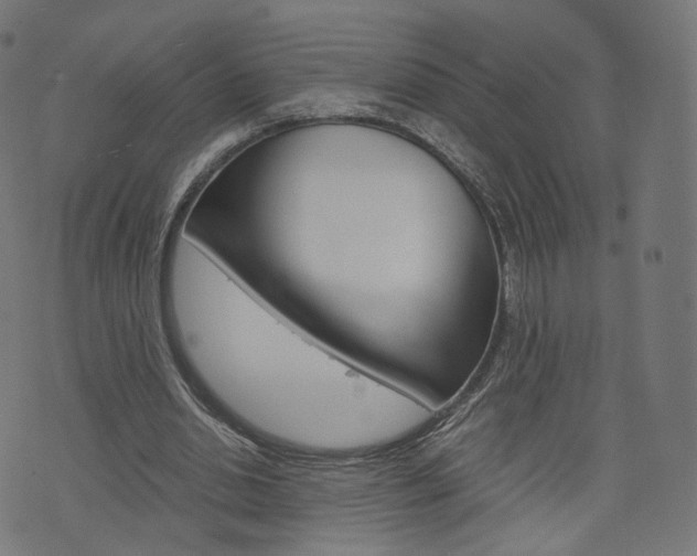 X0000076410438200610060957