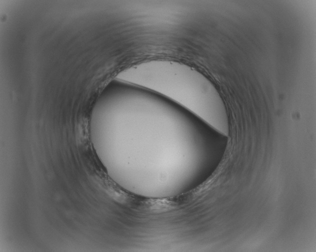 X0000076410528200610060956