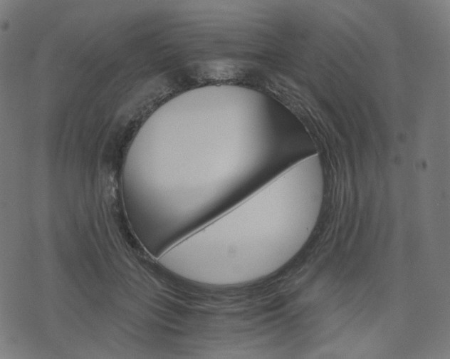 X0000076410555200610060956