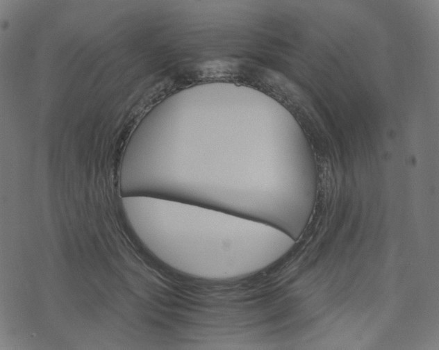 X0000076410557200610060956