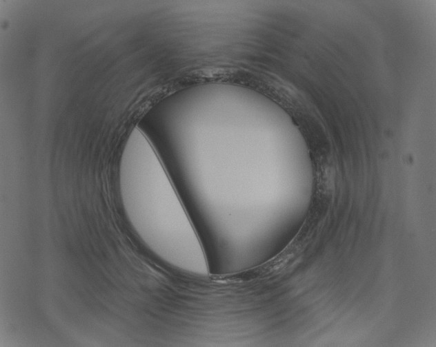 X0000076410558200610060956