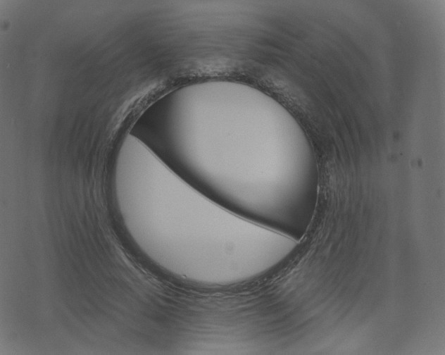 X0000076410640200610060954