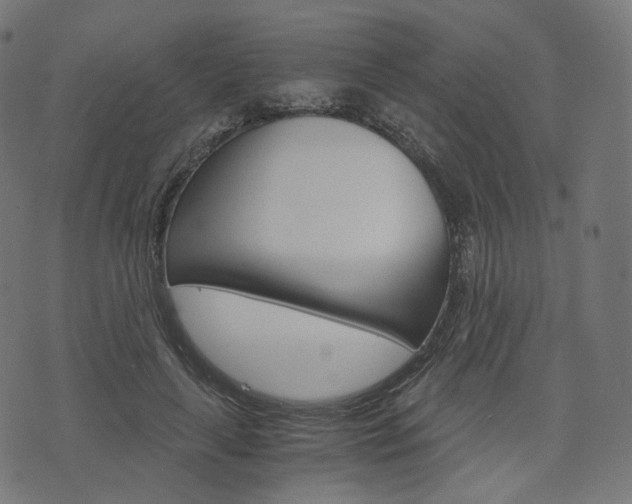 X0000076410643200610060954