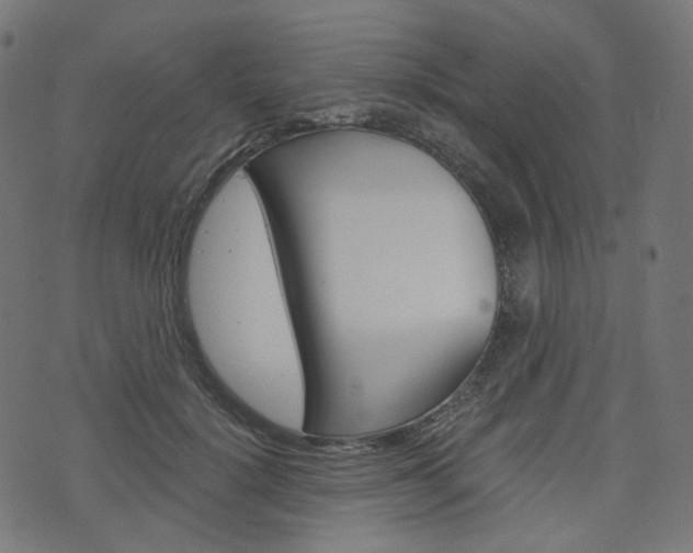 X0000076410652200610060955