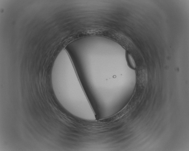 X0000076410653200610060955