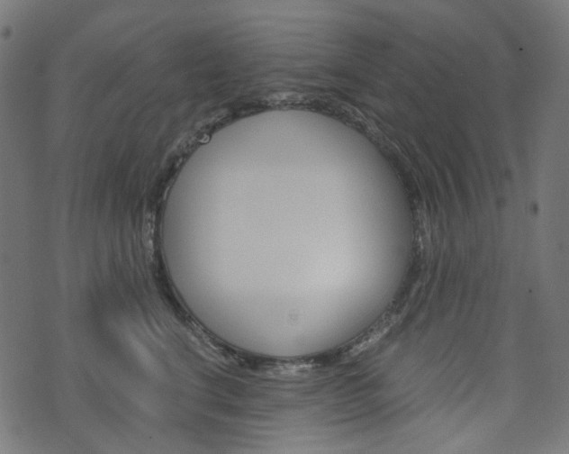 X0000076410664200610060955