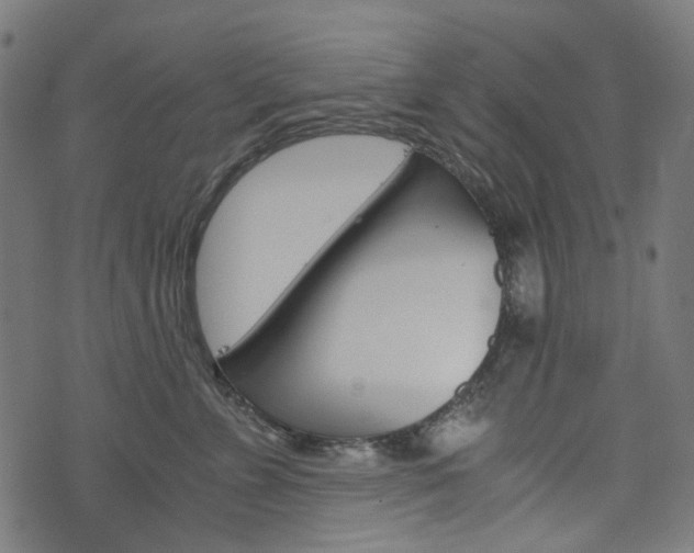 X0000076410715200610060953