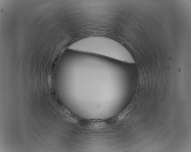 X0000076410716200610060953