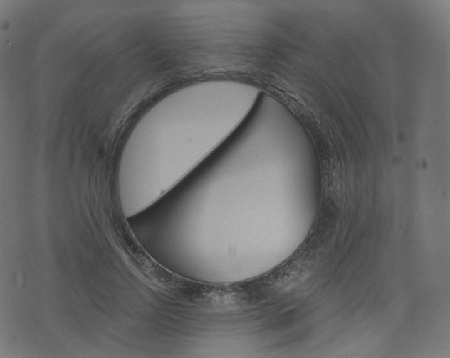 X0000076410742200610060953