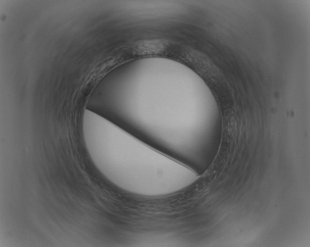 X0000076410743200610060953