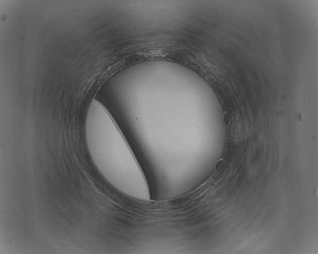 X0000076410747200610060953