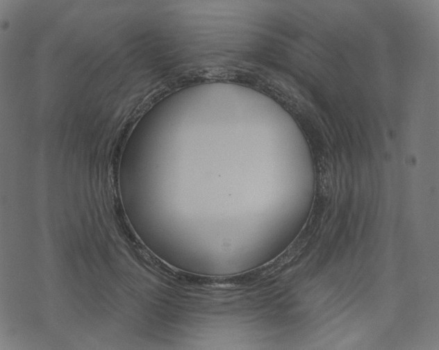 X0000076410748200610060953