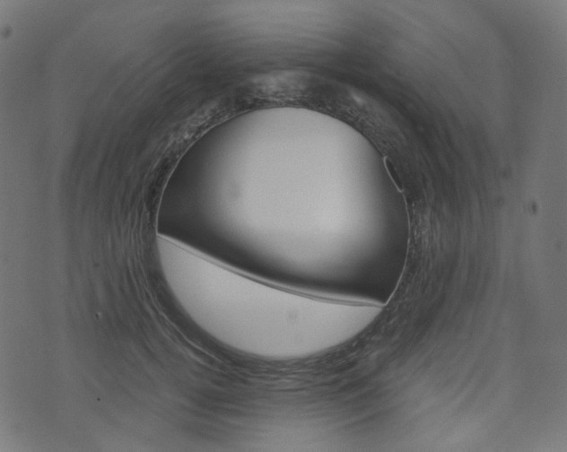 X0000076410752200610060953