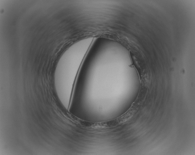 X0000076410756200610060953