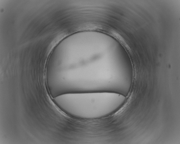 X0000076410802200610060952
