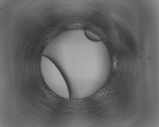 X0000076410819200610060951