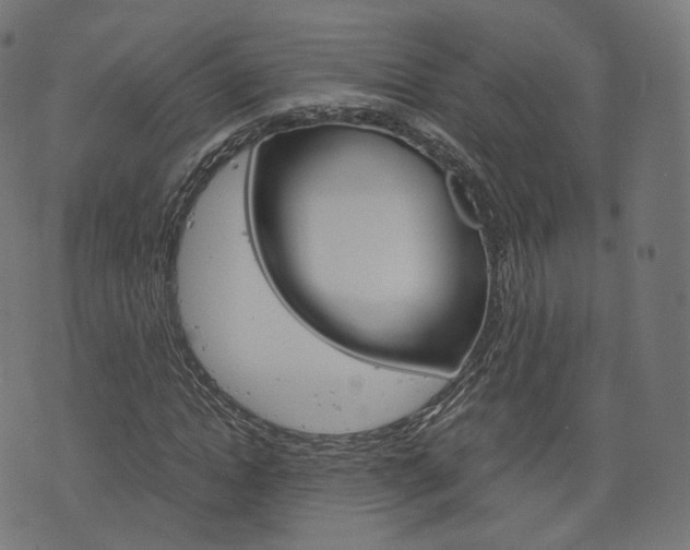 X0000076410822200610060951