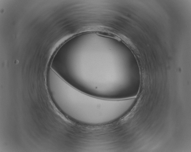 X0000076410846200610060951
