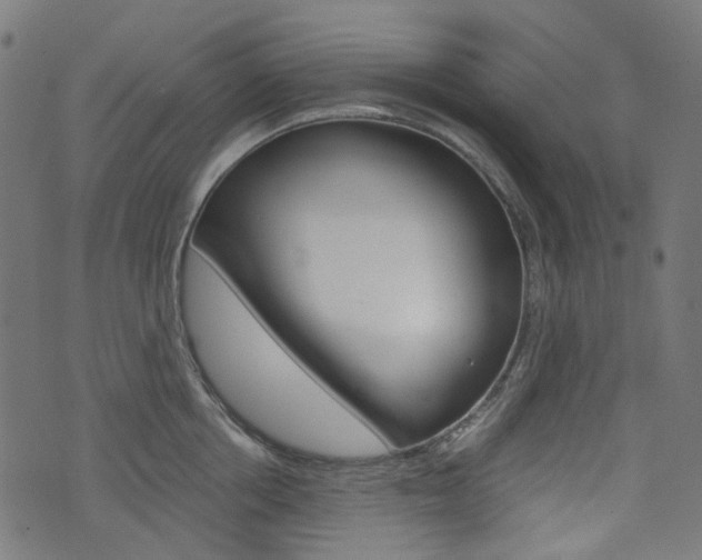 X0000076410858200610060952