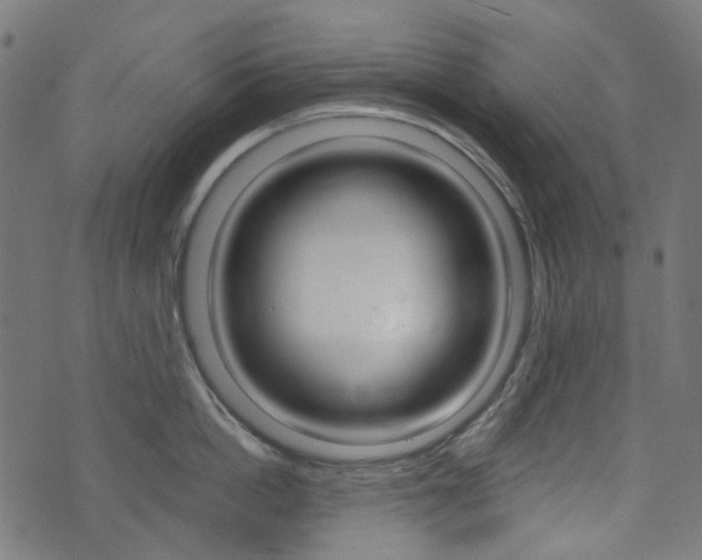 X0000076410862200610060952