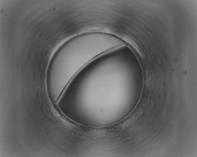 X0000076410888200610060951