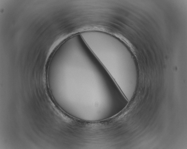 X0000076410894200610060951
