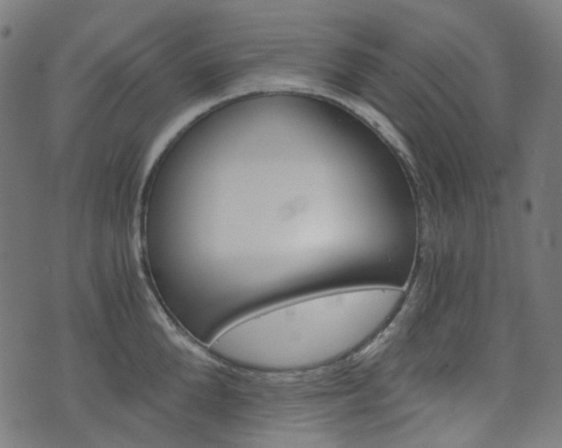 X0000076410904200610060950