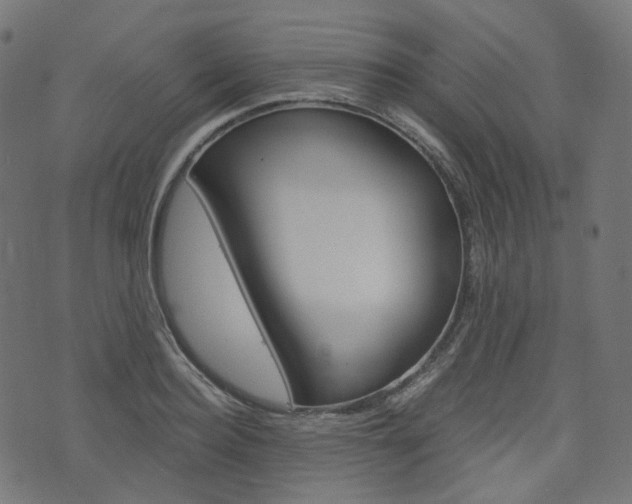 X0000076410940200610060950
