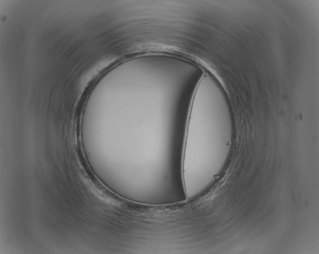 X0000076410987200610060949