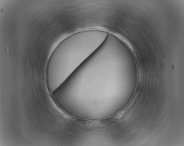 X0000076411006200610060949