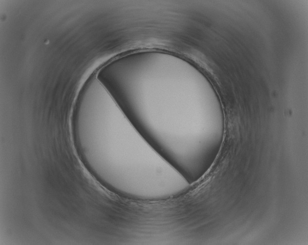 X0000076411032200610060948