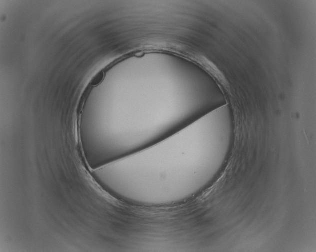 X0000076411036200610060948