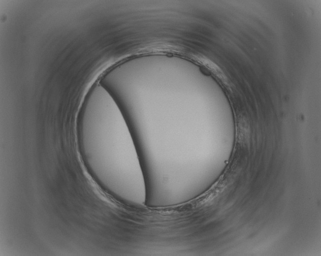 X0000076411039200610060948