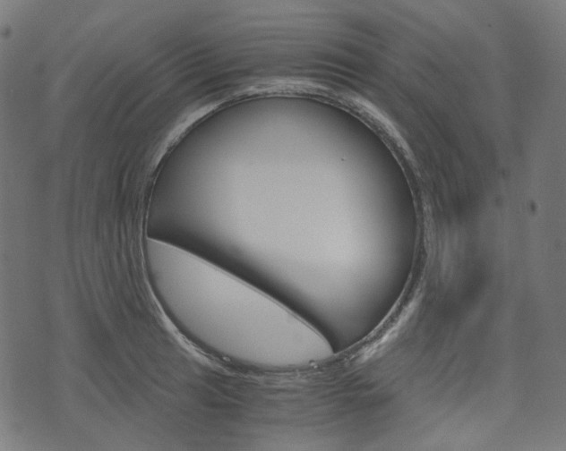 X0000076411041200610060948