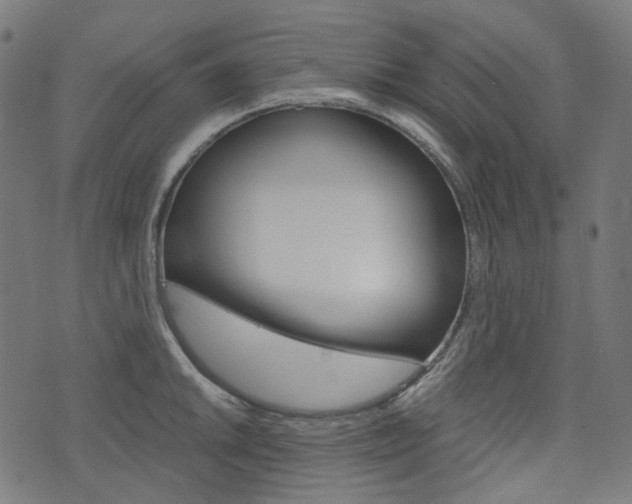 X0000076411046200610060948
