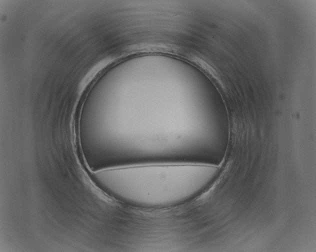 X0000076411082200610060947