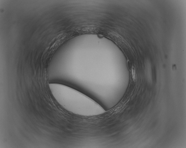 X0000076411107200610060946